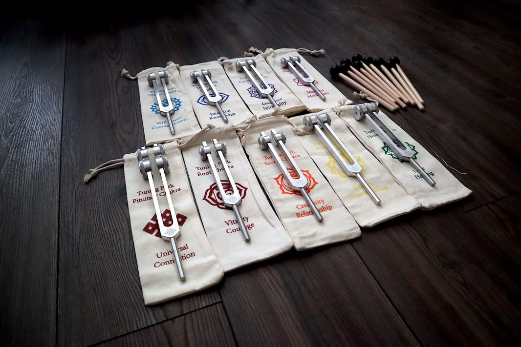 RV Medics' Professionally Tuned .25 8pc Chakra Tuning Fork Set - Silver - Root to Crown Chakras - Attenuator Extenders - Biofield