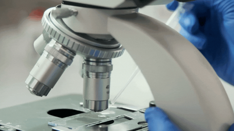 Microscopes