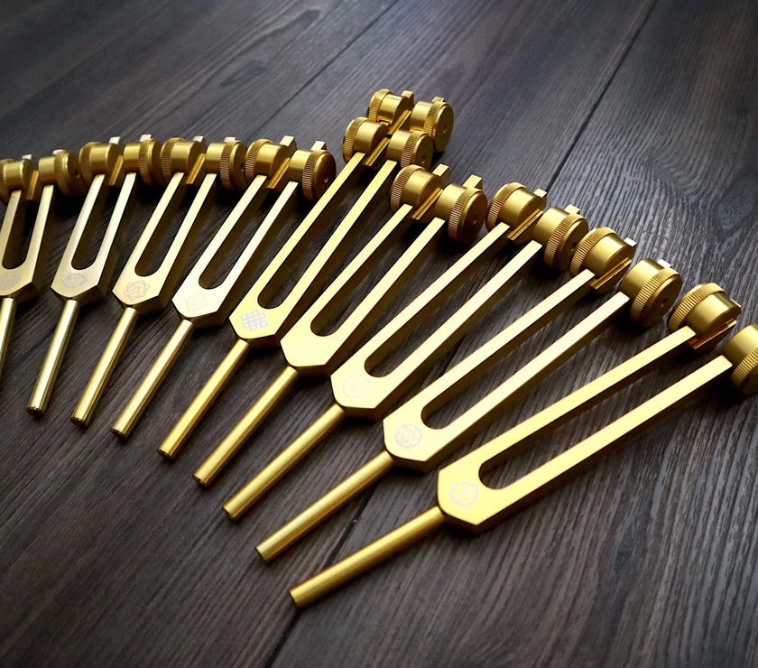 24pc Human Biology and Secret Solfeggio Tuning Fork - Professionally Tuned .25 - Gold, Silver Bio-field Sound Vibration