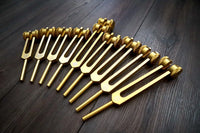 24pc Human Biology and Secret Solfeggio Tuning Fork - Professionally Tuned .25 - Gold, Silver Bio-field Sound Vibration