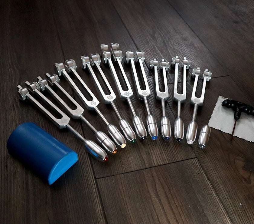 RV Medics' Professionally Tuned .25 9pc Chakra Silver Tuning Forks with 10pc Crystal Massage Attenuator Set - Biofield Tune