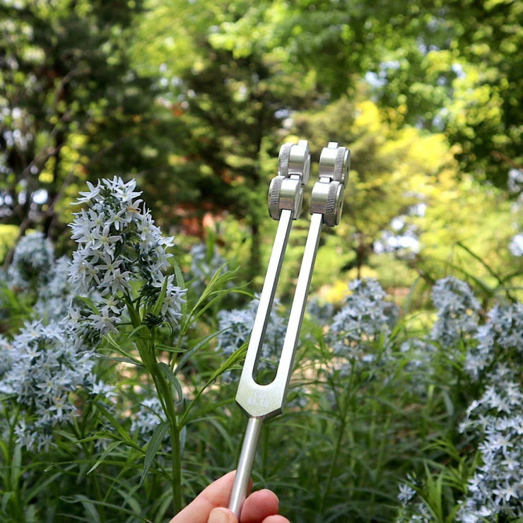68.05 Hz Weighted Tuning Fork for Biofield Healing Therapy - Earth Star