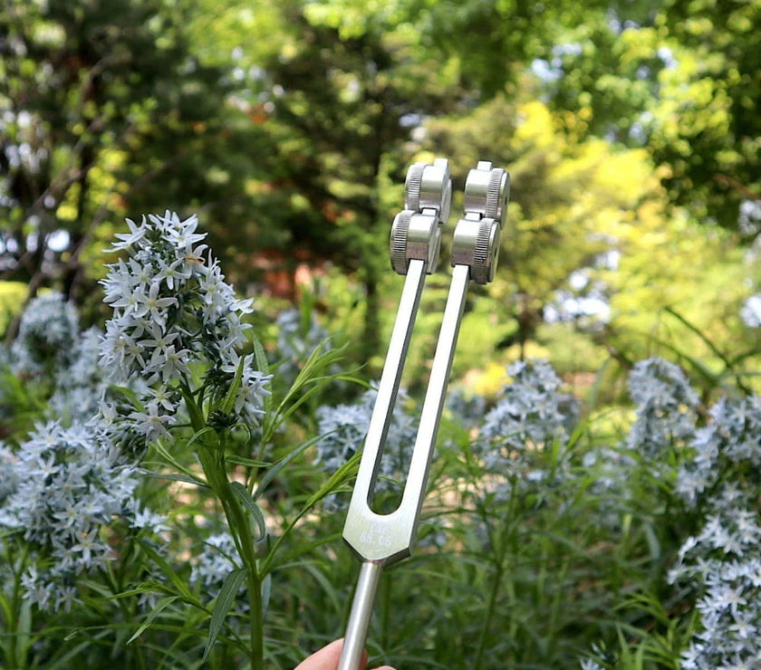 68.05 Hz Weighted Tuning Fork for Biofield Healing Therapy - Earth Star