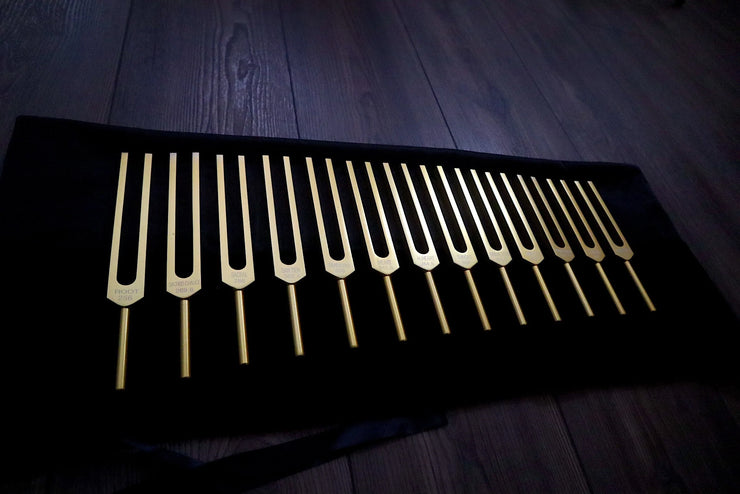 Chromatic Scale of The Perfect Fifth 13pc Tuning Fork Set - Professionally Tuned .25 Hz, Unweighted, Bio-field, Sound Vibration