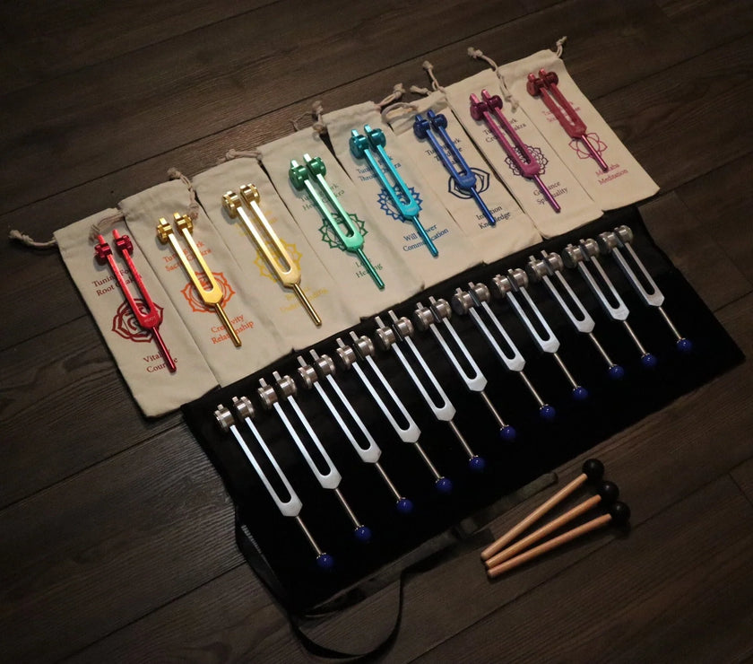 19pc Chakra and Planetary Tuning Fork - Professionally Tuned .25 - Weighted, Astrology, Chakras, Sound Vibration, Bio-field