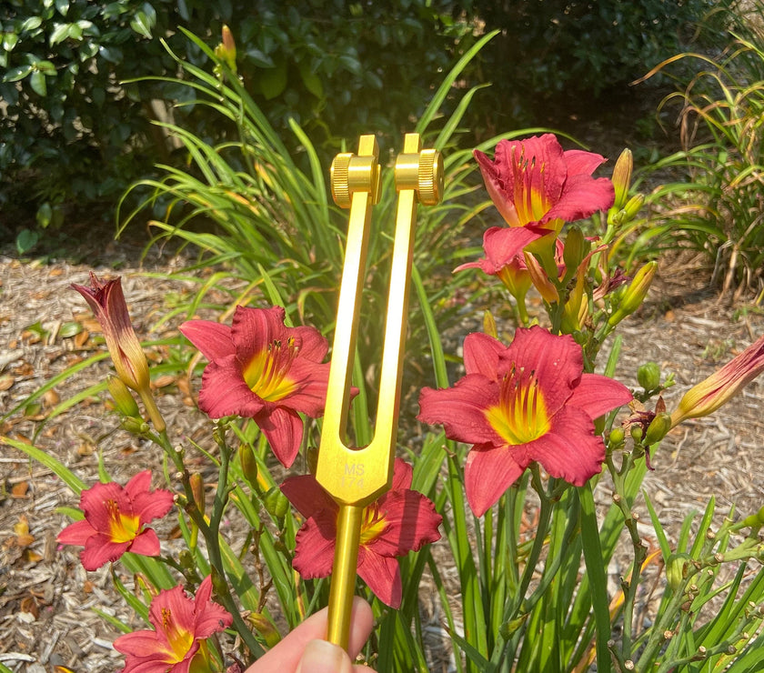 Solfeggio 174 Hz Tuning Fork - Carry Bag and Striker, Sound Vibration, Energy Vibration - Attenuator Handle Extender with 10mm Crystal