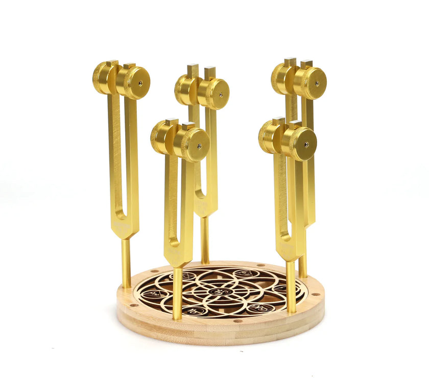 Chakra Tuning Fork Holder Stand - Capacity 10