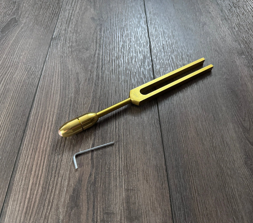 222 Hz Tuning Fork - Carry Bag and Striker, Sound Vibration, Energy Vibration - Attenuator Handle Extender with 10mm Crystal - Biofield