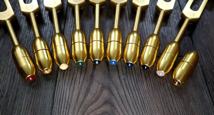 12pc Song of the Spine Tuning Fork Set Professionally Tuned .25 - Bio-field - Organs, Tissue, and Cells, Sound Vibration, Bag