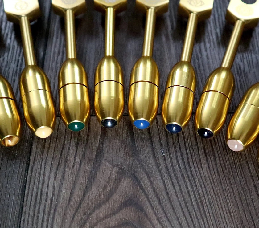 12pc Song of the Spine Tuning Fork Set Professionally Tuned .25 - Bio-field - Organs, Tissue, and Cells, Sound Vibration, Bag