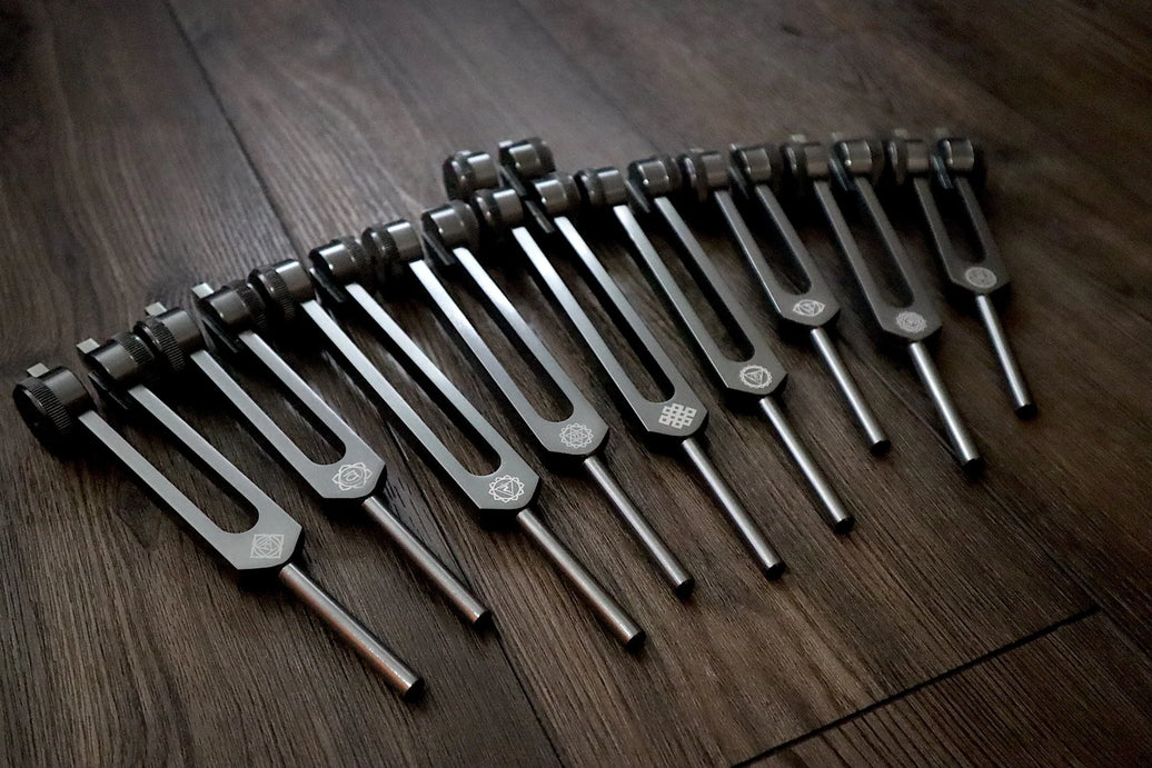 RV Medics' Professionally Tuned .25 9pc Chakra Tuning Forks - Gray - Earth Star Chakra through Soul Star - Biofield, Sound Vibration