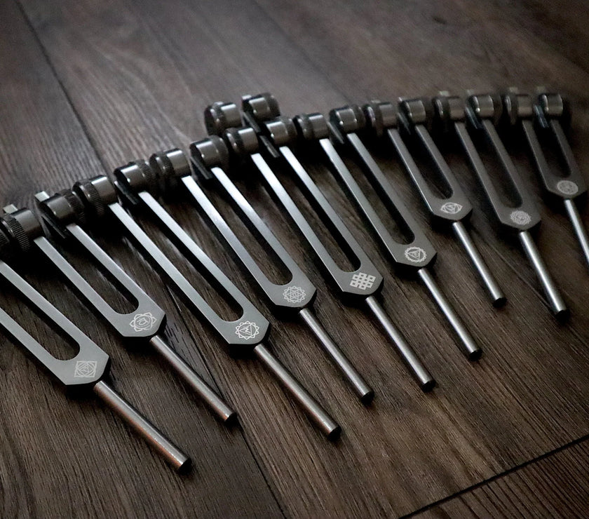 RV Medics' Professionally Tuned .25 9pc Chakra Tuning Forks - Gray - Earth Star Chakra through Soul Star - Biofield, Sound Vibration
