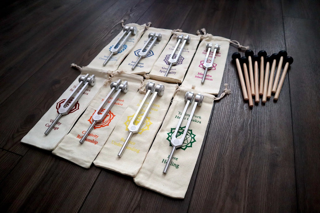 RV Medics' Professionally Tuned .25 8pc Chakra Tuning Fork Set - Silver - Root to Crown Chakras - Attenuator Extenders - Biofield