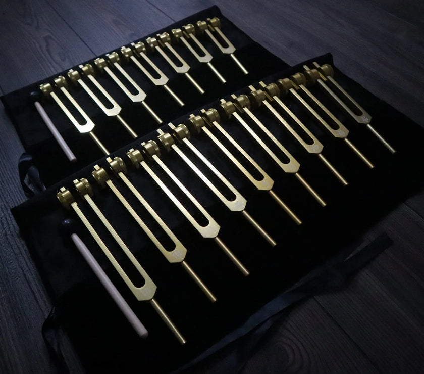 9pc Secret Solfeggio and 8pc Chakra Tuning Fork Bundle - Professionally Tuned .25 - Gold Weighted, 2 Strikers, 2 Carry Bags
