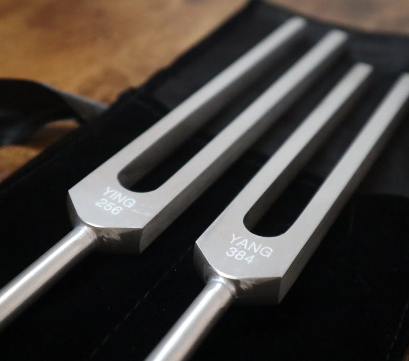 Perfect Fifth Harmonic Yin and Yang Tuning Fork Set - Professionally Tuned .25 Hz - C 256 Hz G 384 Hz, Unweighted, Bio-field Therapy