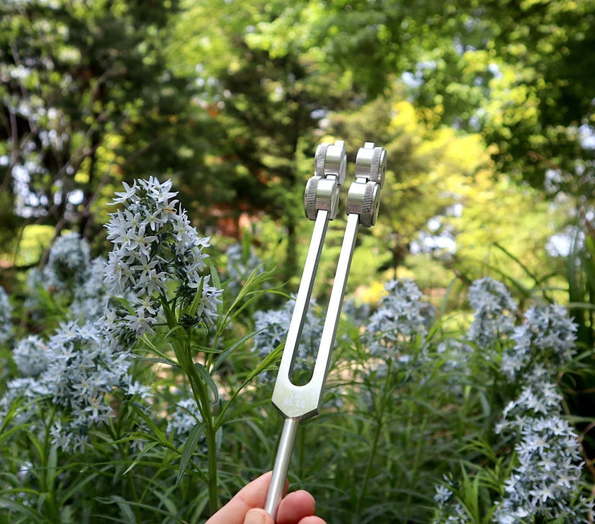 RV Medics' Earth Star 68.05 Hz Tuning Fork - Sound Vibration, Grounding, Biofield - Attenuator Handle Extender with 10mm Crystal
