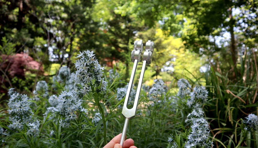 RV Medics' Earth Star 68.05 Hz Tuning Fork - Sound Vibration, Grounding, Biofield - Attenuator Handle Extender with 10mm Crystal