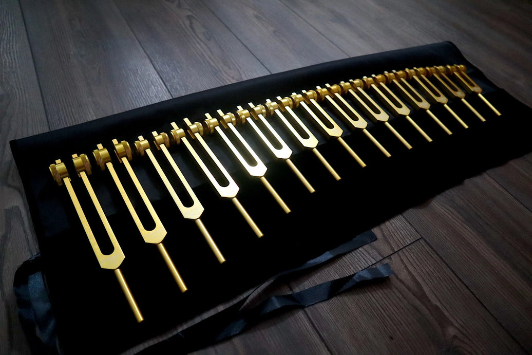 RV Medics' Professionally Tuned .25 15pc Human Biology Tuning Fork Set - Organs Tissue Cells Sound Vibration, Bio-field, Carry Bag
