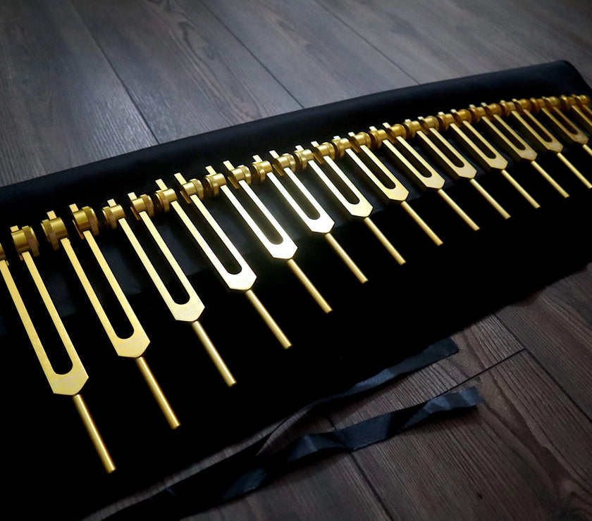 RV Medics' Professionally Tuned .25 15pc Human Biology Tuning Fork Set - Organs Tissue Cells Sound Vibration, Bio-field, Carry Bag