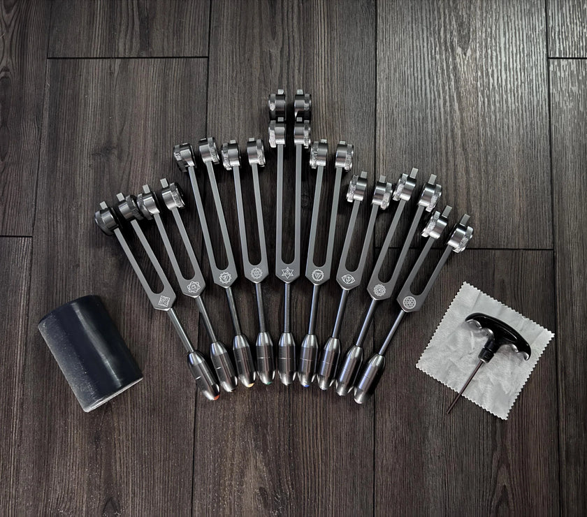 RV Medics' Professionally Tuned .25 9pc Chakra Gray Tuning Forks - 10pc Crystal Massage Attenuator Set - Biofield, Sound Vibration