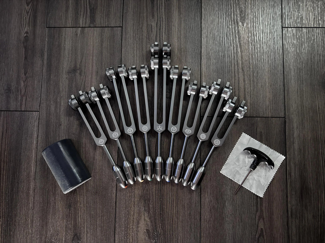 RV Medics' Professionally Tuned .25 9pc Chakra Gray Tuning Forks - 10pc Crystal Massage Attenuator Set - Biofield, Sound Vibration
