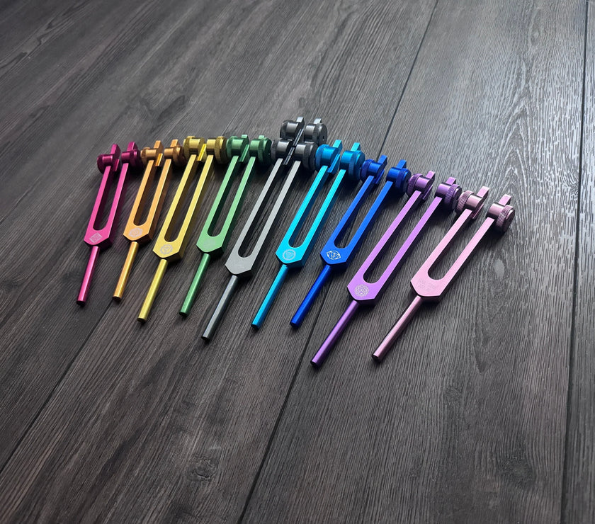 RV Medics' Professionally Tuned .25 9pc Chakra Tuning Forks - Earth Star Chakra through Crown Chakra - Biofield, Sound Vibration