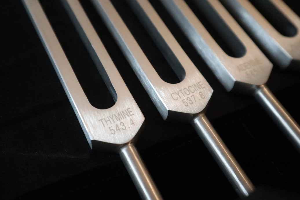 DNA Tuning Fork Set - Professionally Tuned .25 Hz, Bio-field, Sound Vibration, Unweighted 4pc Set, Velvet Carry Bag
