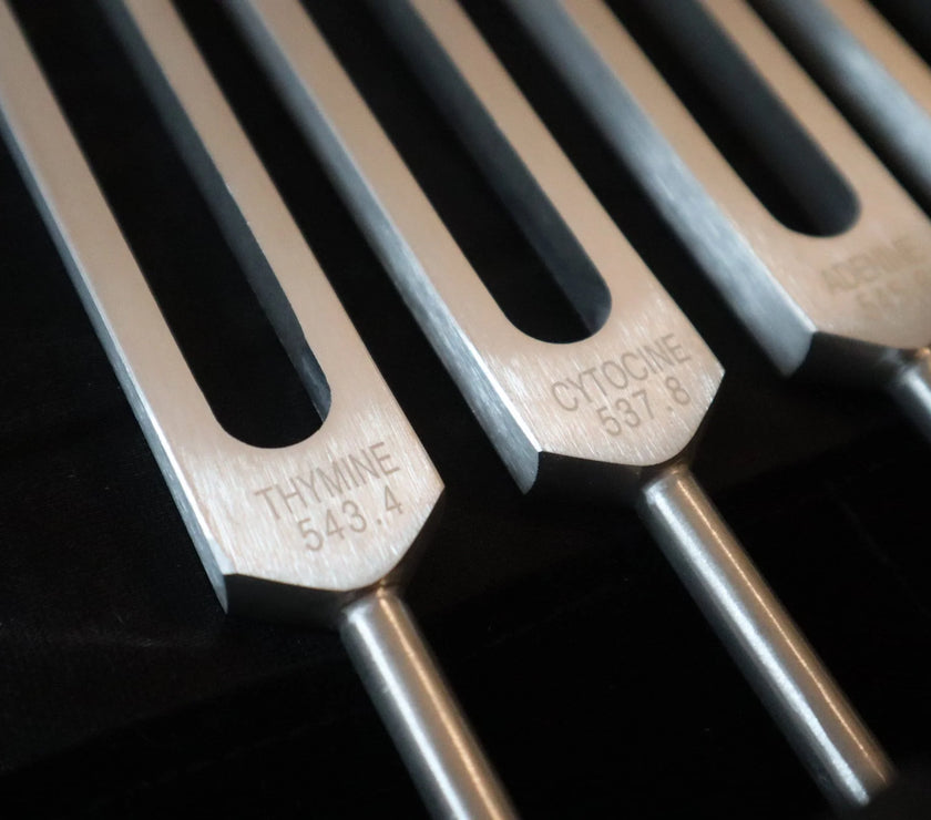 DNA Tuning Fork Set - Professionally Tuned .25 Hz, Bio-field, Sound Vibration, Unweighted 4pc Set, Velvet Carry Bag