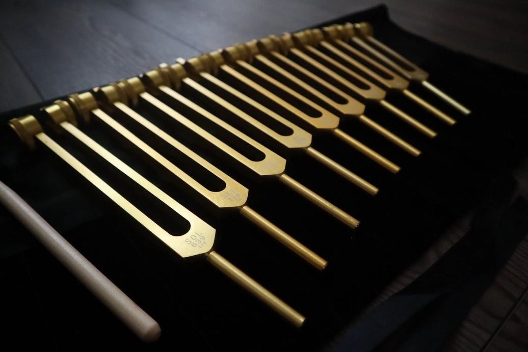 RV Medics' 9pc Solfeggio Weighted Tuning Fork Set - Professionally Tuned .25 - Gold, 528Hz, Bio-field, Bag, Striker
