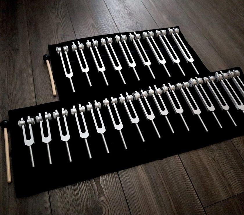 24pc Human Biology and Secret Solfeggio Tuning Fork - Professionally Tuned .25 - Gold, Silver Bio-field Sound Vibration