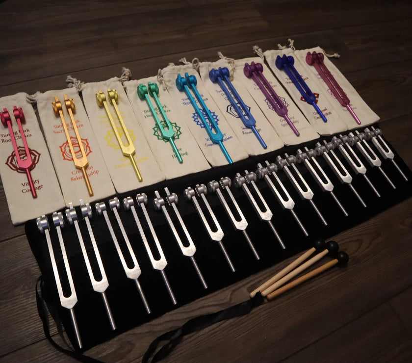 24pc Human Biology And Solfeggio Tuning Forks - Professionally Tuned .25 - Bio-field, Sound Vibration, Vibration