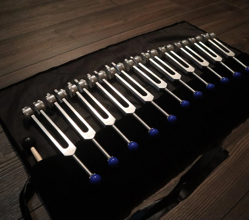 11pc Planetary Set - Professionally Tuned .25 - Astrology, Planetary Influences, Sound Vibration, Bio-field, Velvet Carry Bag