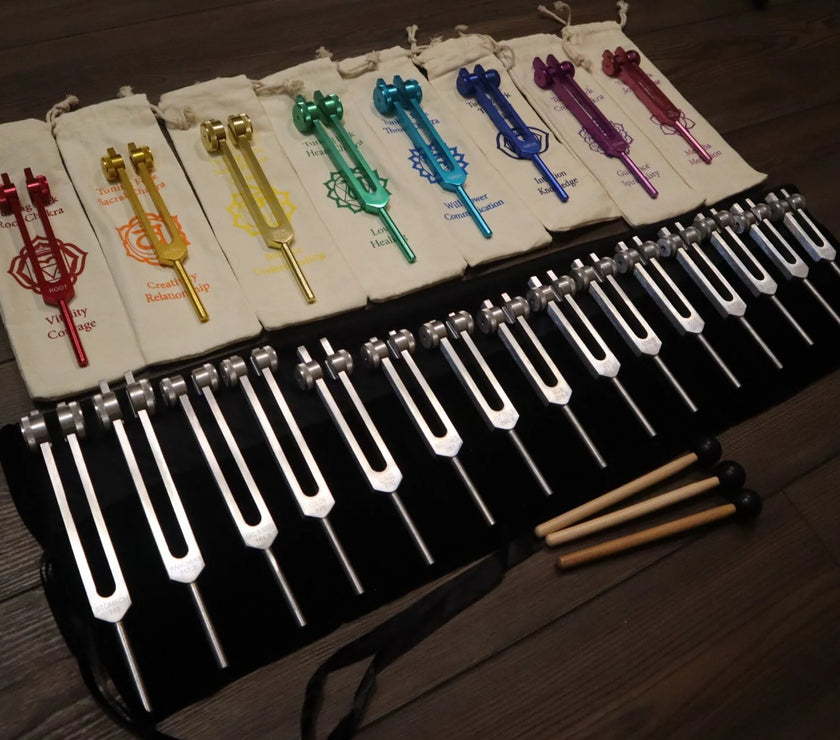 23pc Human Biology And Chakra Tuning Fork Bundle - Professionally Tuned .25 - Weighted, Bio-field, Sound Vibration