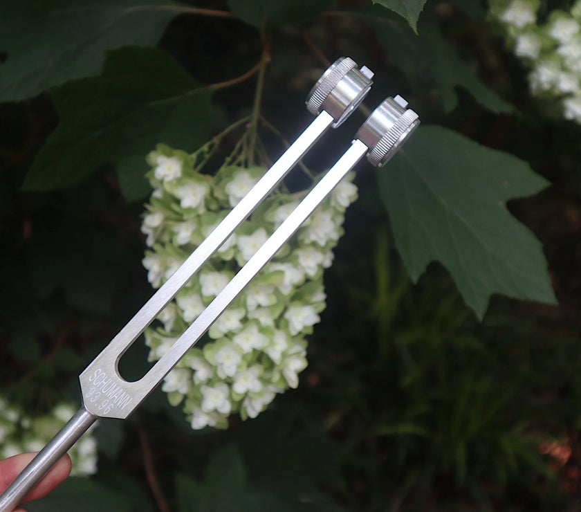 Schumann 93.96 Hz Tuning Fork - Schumann Resonance - Sound Vibration, Energy Vibration - Attenuator Handle Extender with 10mm Crystal
