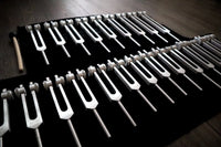 24pc Human Biology and Secret Solfeggio Tuning Fork - Professionally Tuned .25 - Gold, Silver Bio-field Sound Vibration