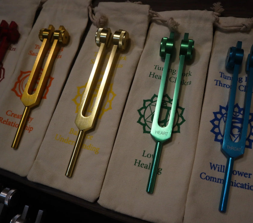 23pc Human Biology And Chakra Tuning Fork Bundle - Professionally Tuned .25 - Weighted, Bio-field, Sound Vibration