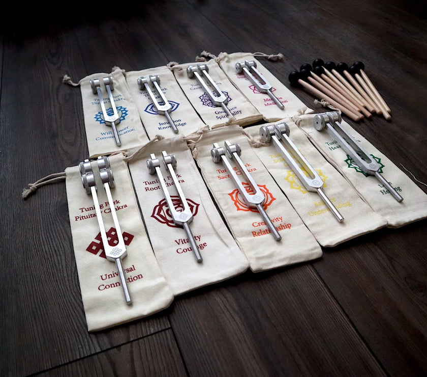 RV Medics' Professionally Tuned .25 8pc Chakra Tuning Fork Set - Silver - Root to Crown Chakras - Attenuator Extenders - Biofield