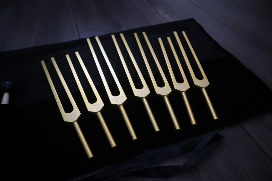 7pc Chakra Tuning Fork Set - Professionally Tuned .25 Hz - Unweighted, Root, Sacral, Solar Plexus, Heart, Throat, Third Eye, Crown Chakras