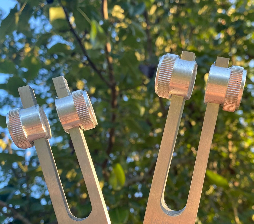 432 Hz and 528 Hz Silver Weighted Solfeggio Set Best Tuning Forks for Vibration - Attenuator Handle Extensions with 10mm Crystal