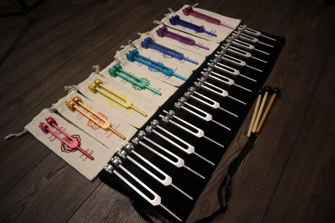 24pc Human Biology And Solfeggio Tuning Forks - Professionally Tuned .25 - Bio-field, Sound Vibration, Vibration