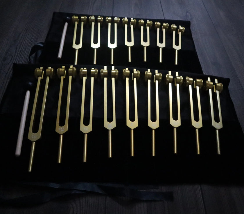 9pc Secret Solfeggio and 8pc Chakra Tuning Fork Bundle - Professionally Tuned .25 - Gold Weighted, 2 Strikers, 2 Carry Bags