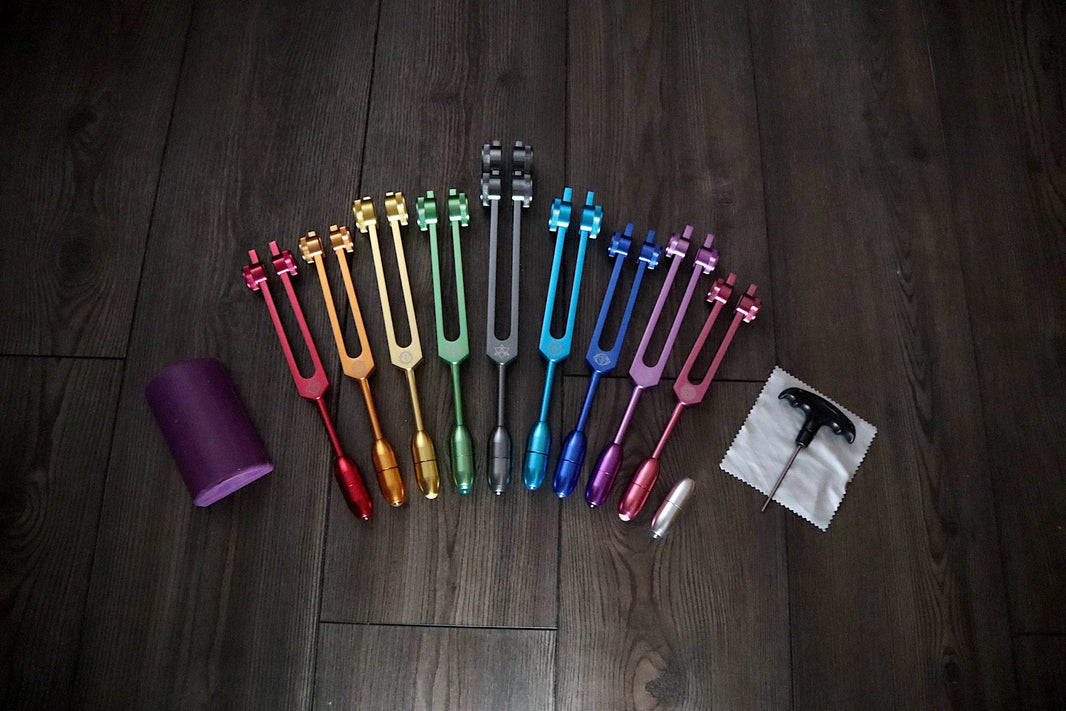 RV Medics' Professionally Tuned .25 9pc Chakra Tuning Forks with 10pc Crystal Massage Attenuator Set - Biofield, Sound Vibration