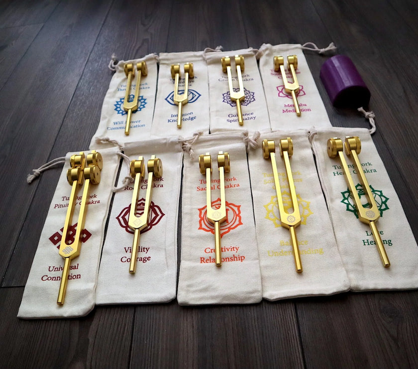 12pc Song of the Spine Tuning Fork Set Professionally Tuned .25 - Bio-field - Organs, Tissue, and Cells, Sound Vibration, Bag