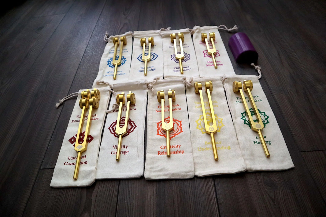 12pc Song of the Spine Tuning Fork Set Professionally Tuned .25 - Bio-field - Organs, Tissue, and Cells, Sound Vibration, Bag