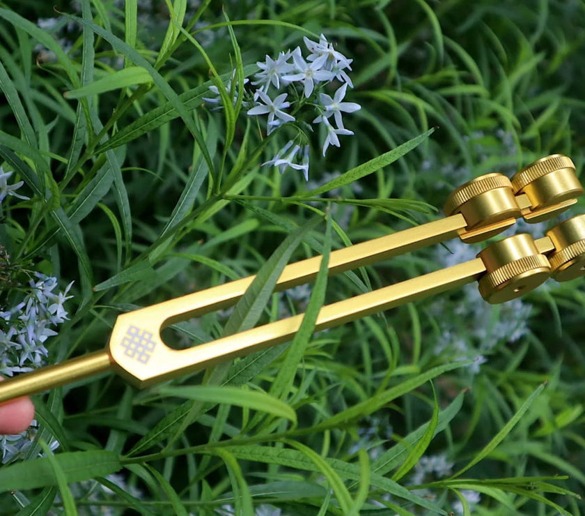 68.05 Hz Weighted Tuning Fork for Biofield Healing Therapy - Earth Star