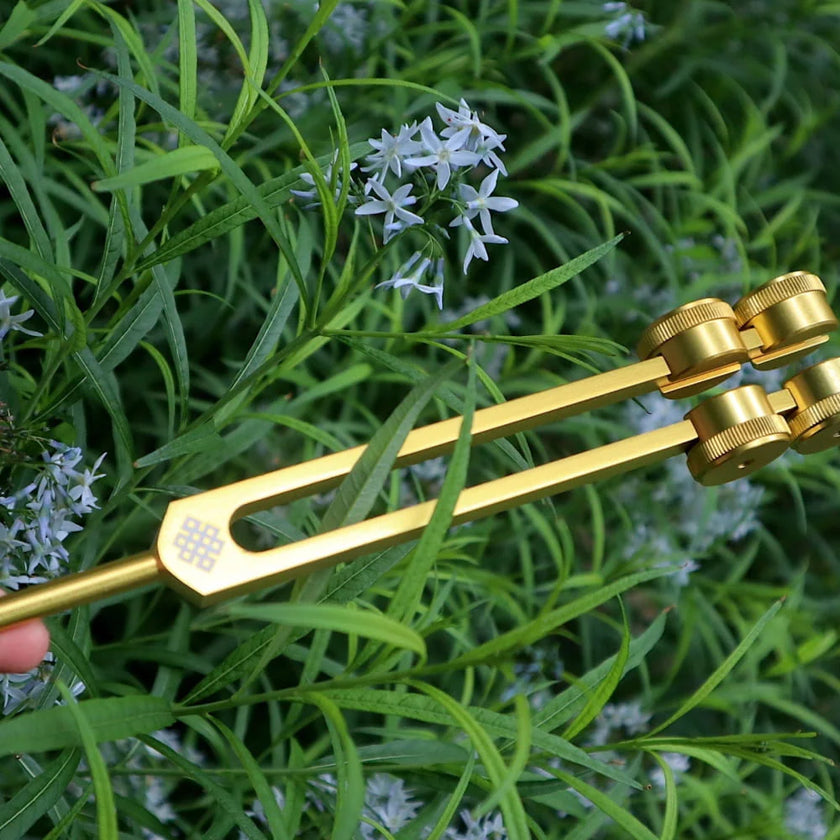 68.05 Hz Weighted Tuning Fork for Biofield Healing Therapy - Earth Star