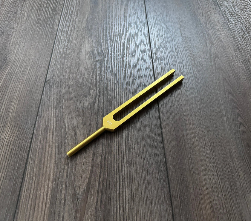 222 Hz Tuning Fork - Carry Bag and Striker, Sound Vibration, Energy Vibration - Attenuator Handle Extender with 10mm Crystal - Biofield