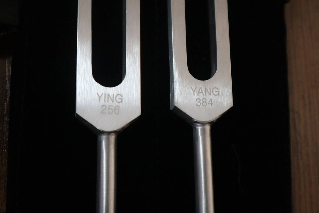 Perfect Fifth Harmonic Yin and Yang Tuning Fork Set - Professionally Tuned .25 Hz - C 256 Hz G 384 Hz, Unweighted, Bio-field Therapy