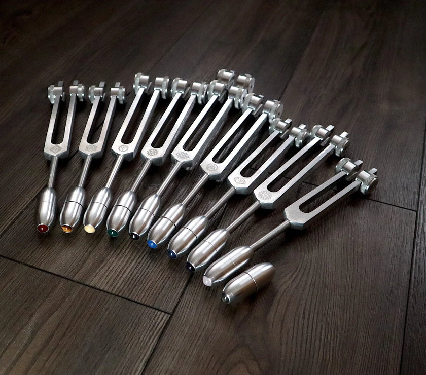 RV Medics' Professionally Tuned .25 9pc Chakra Silver Tuning Forks with 10pc Crystal Massage Attenuator Set - Biofield Tune