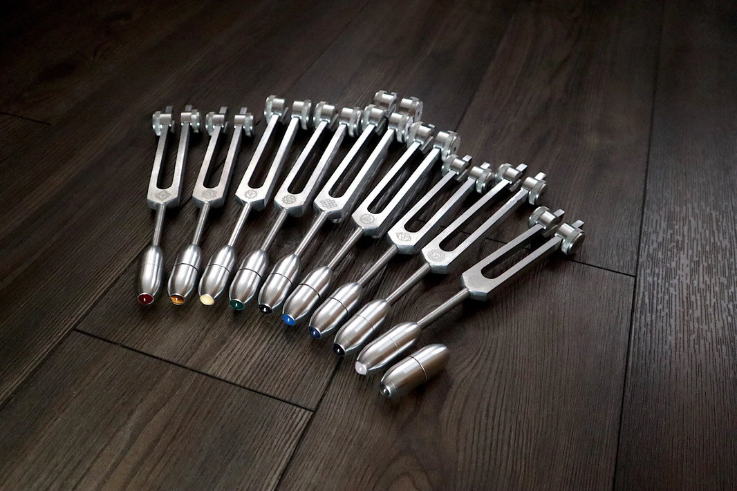 RV Medics' Professionally Tuned .25 9pc Chakra Silver Tuning Forks with 10pc Crystal Massage Attenuator Set - Biofield Tune
